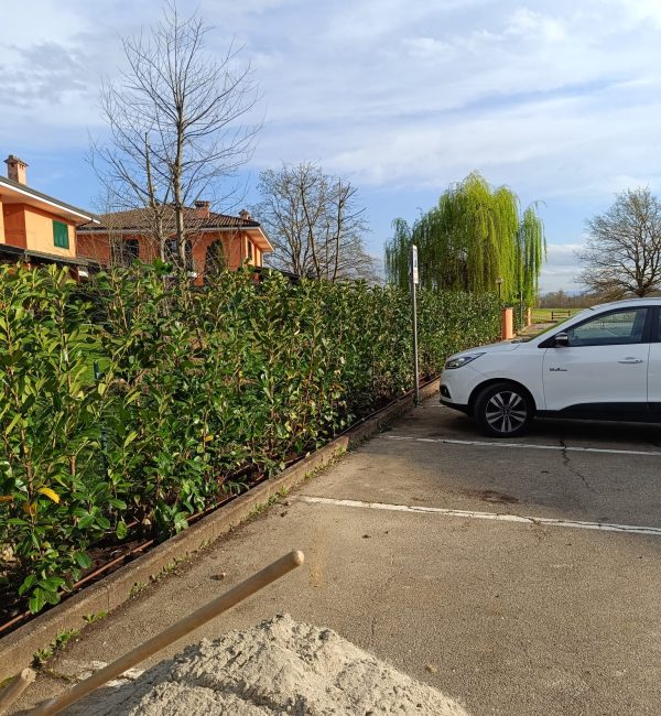 manutenzione giardini aziendali