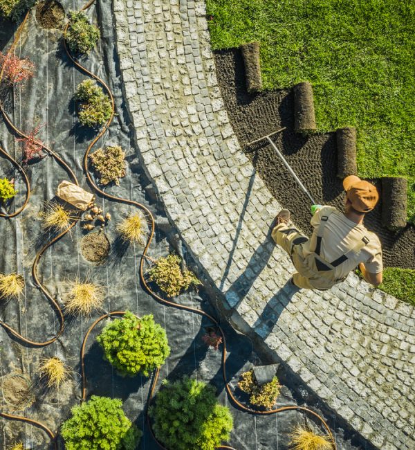 manutenzione del verde