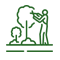 consulenza botanica